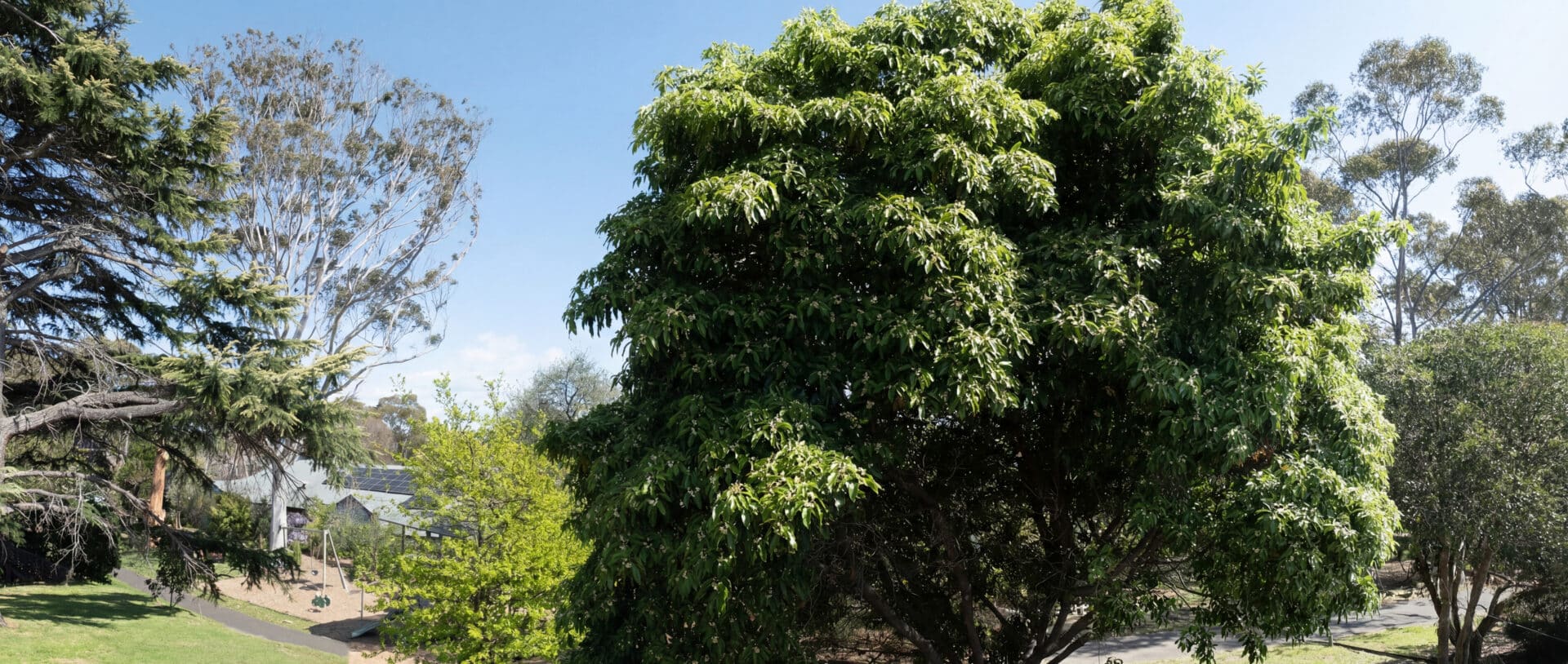 Image of Park from West/South Penthouse