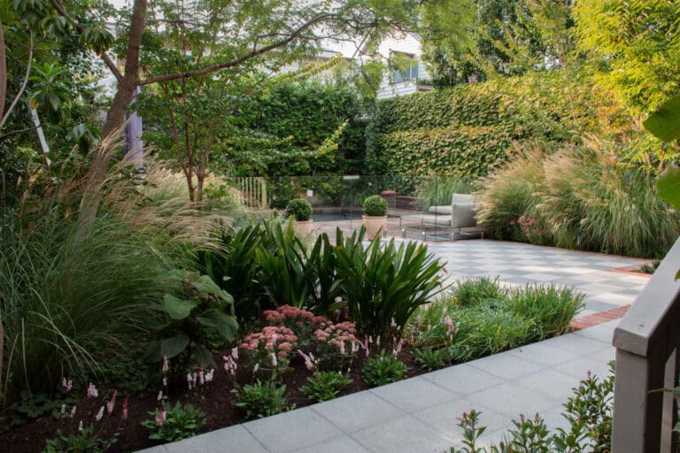 Image of John Patrick Project