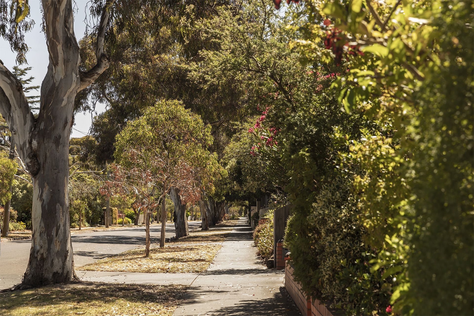 Image of local Street