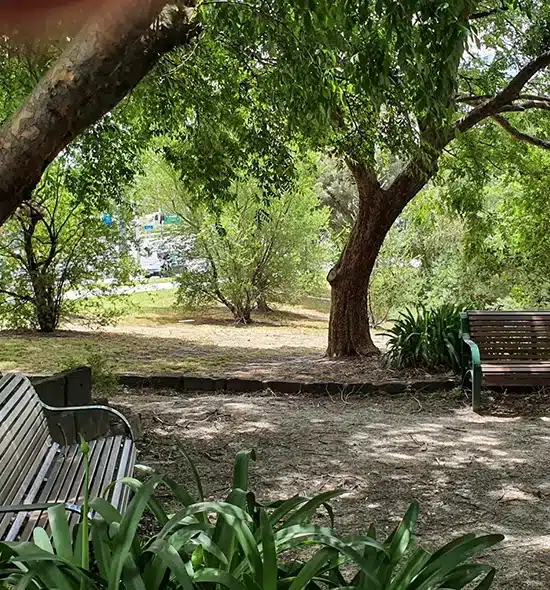 Image of Peace Park